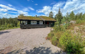Pet Friendly Home In Rena With Wifi